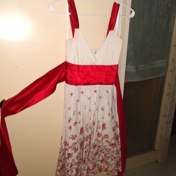 Dresses & Skirts - Beautiful Pin Up Dress